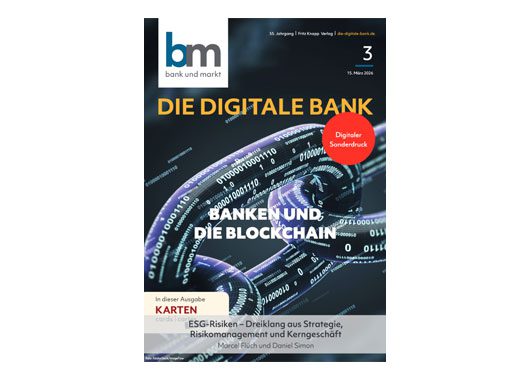 Ausgabe Digitale Bank Nr 3
